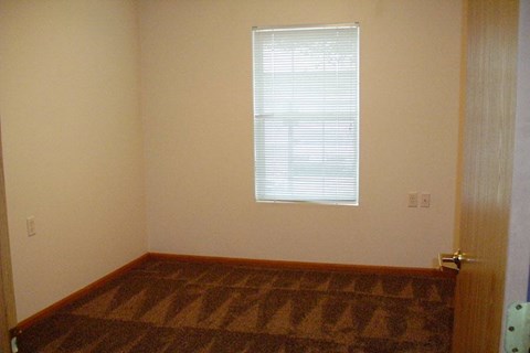 A room with a brown carpet and a window with blinds.