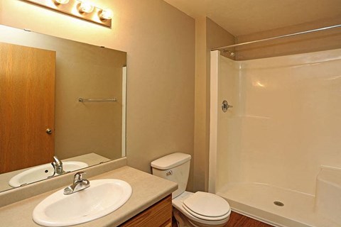 a bathroom with a sink toilet and a shower