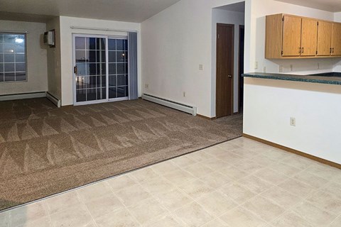 A room with a brown carpet and a white wall.