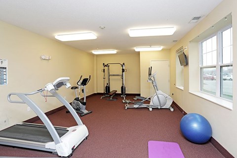 A gym with a treadmill, weights, and exercise balls.