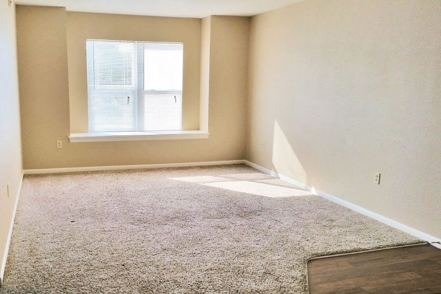 an empty room with a window and carpet