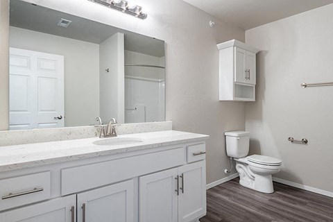 a bathroom with a toilet and a sink and a mirror