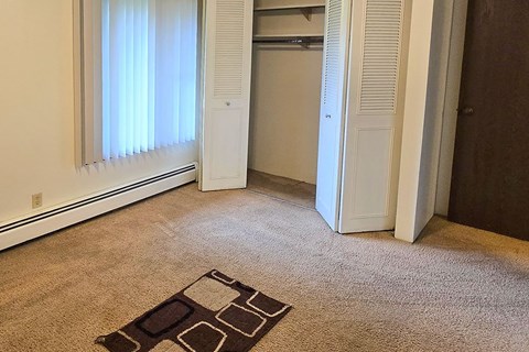 A room with a rug on the floor and a door in the background.
