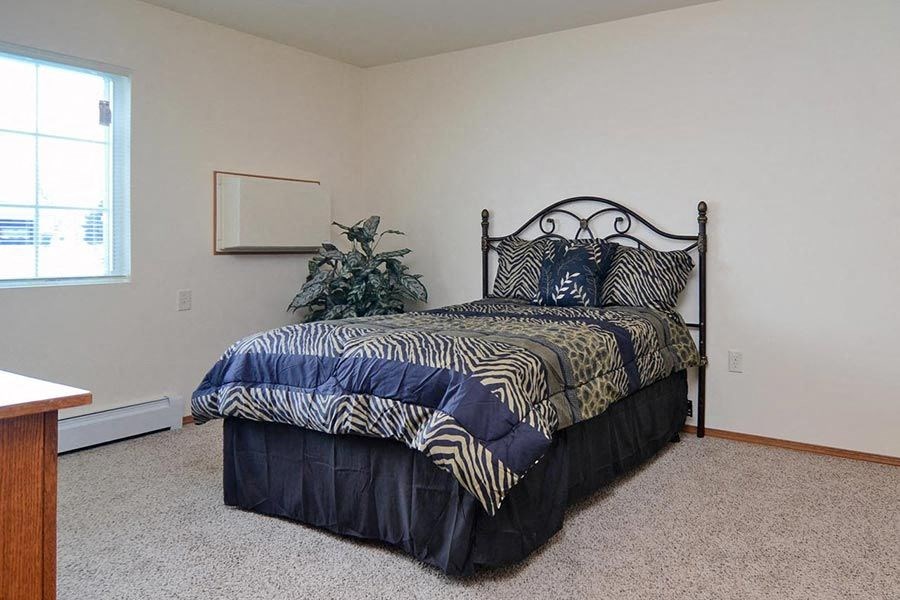 A bedroom with a bed, carpet, and a plant.