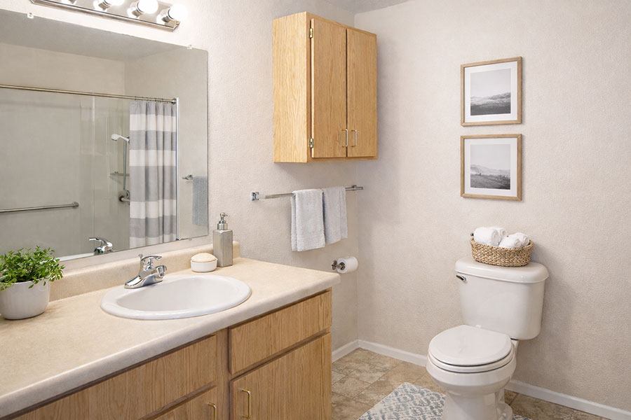 A bathroom with a toilet, sink, mirror, and cabinet.