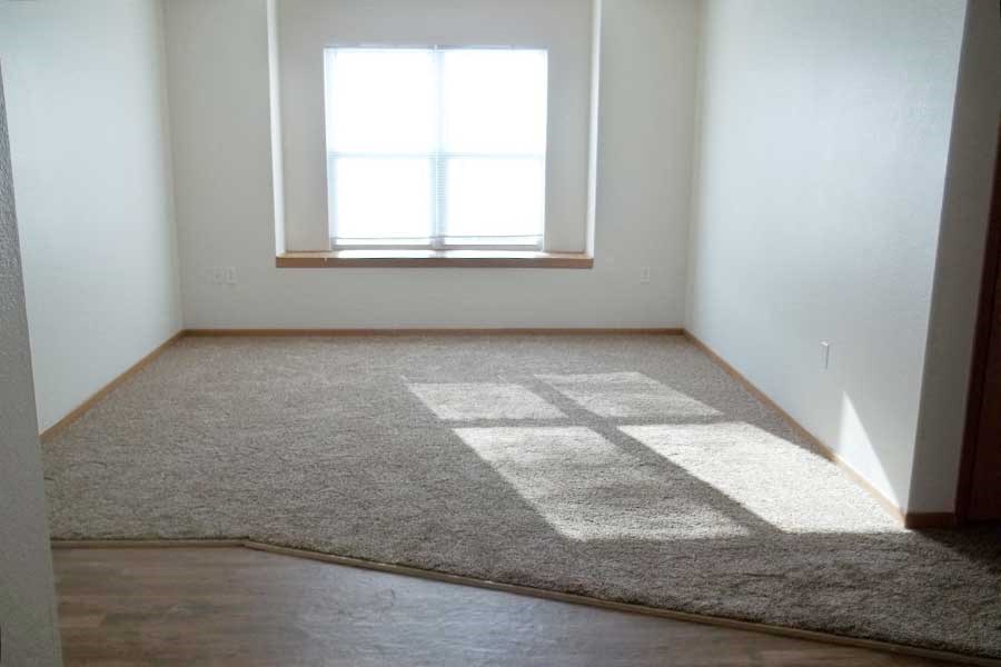 a room with a window and a rug on the floor