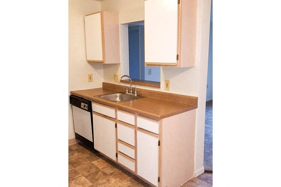 A kitchen with a sink and cabinets.
