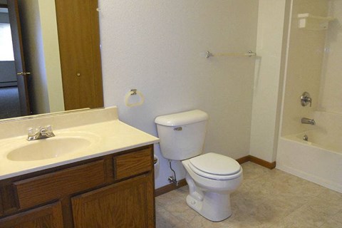 A white toilet sits next to a sink in a bathroom.