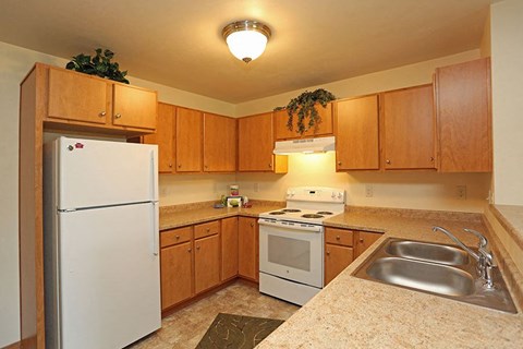 a kitchen with a stove refrigerator and a sink