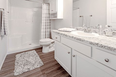 a bathroom with a toilet and a sink and a shower