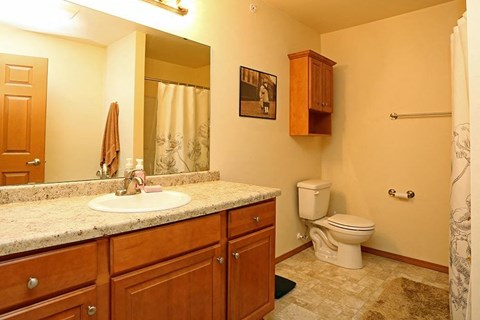 a bathroom with a sink toilet and a mirror