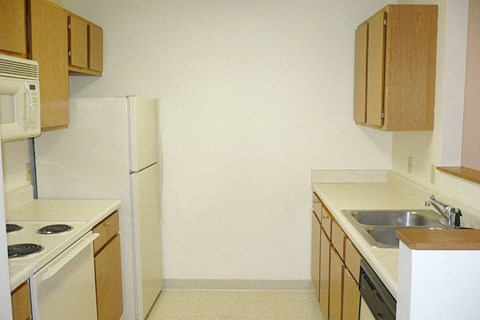 a kitchen with a stove and a sink and a refrigerator