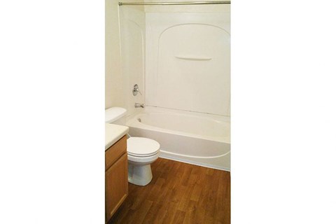 a bathroom with a toilet and a bath tub