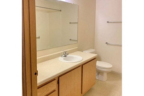 a bathroom with a sink and a toilet and a mirror
