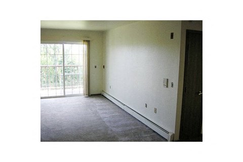 A room with a carpeted floor and a sliding glass door.