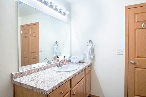 a bathroom with a sink and a large mirror