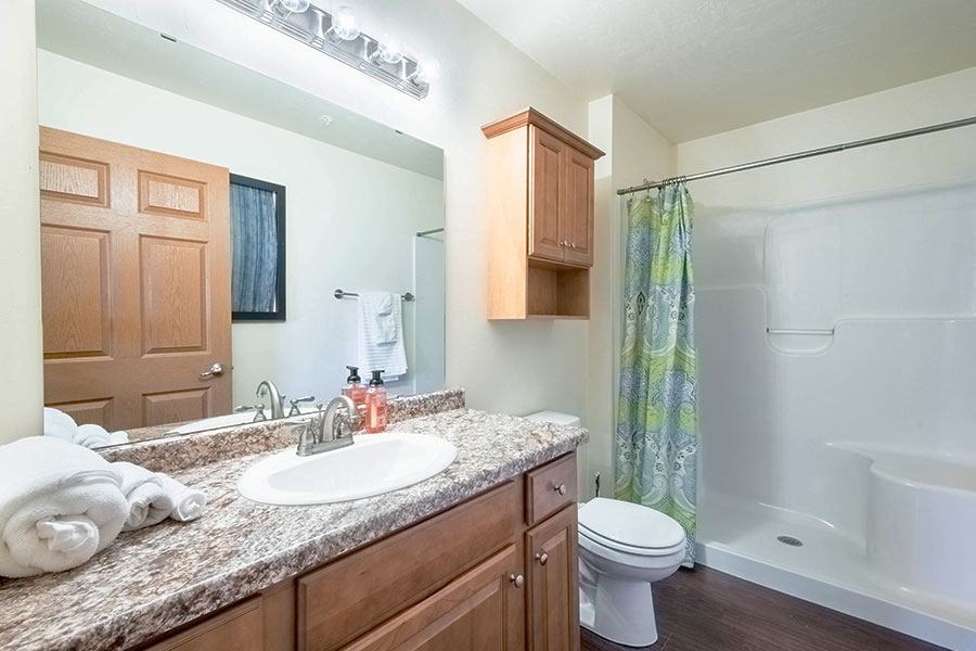 a bathroom with a sink and a toilet and a shower