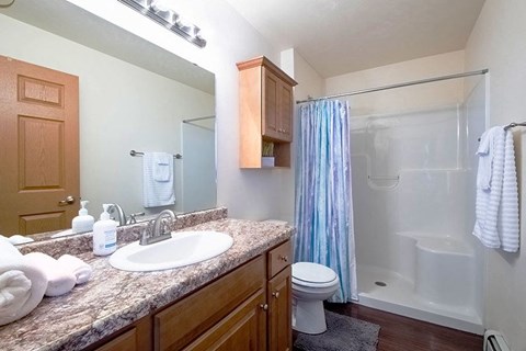 a bathroom with a sink toilet and a shower