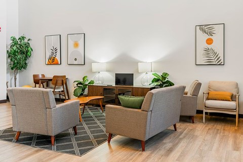 A living room with a grey sofa, a green couch, a wooden coffee table, and a potted plant.