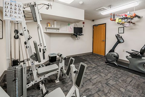 A gym with a variety of equipment including a treadmill, weights, and a bench press.