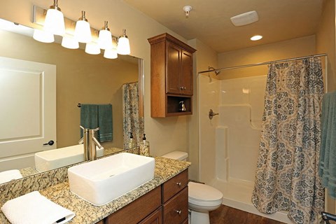 a bathroom with a sink and a toilet and a shower