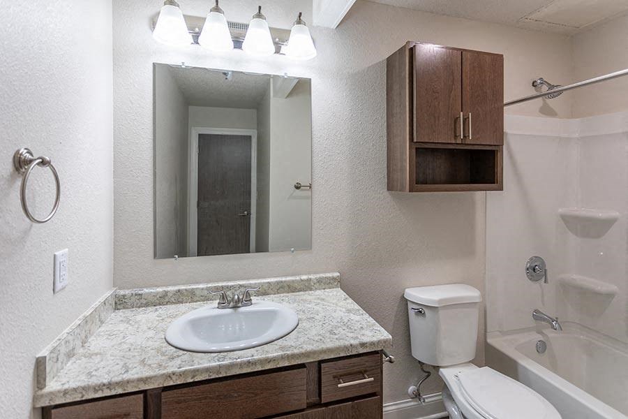 a bathroom with a sink toilet and a mirror