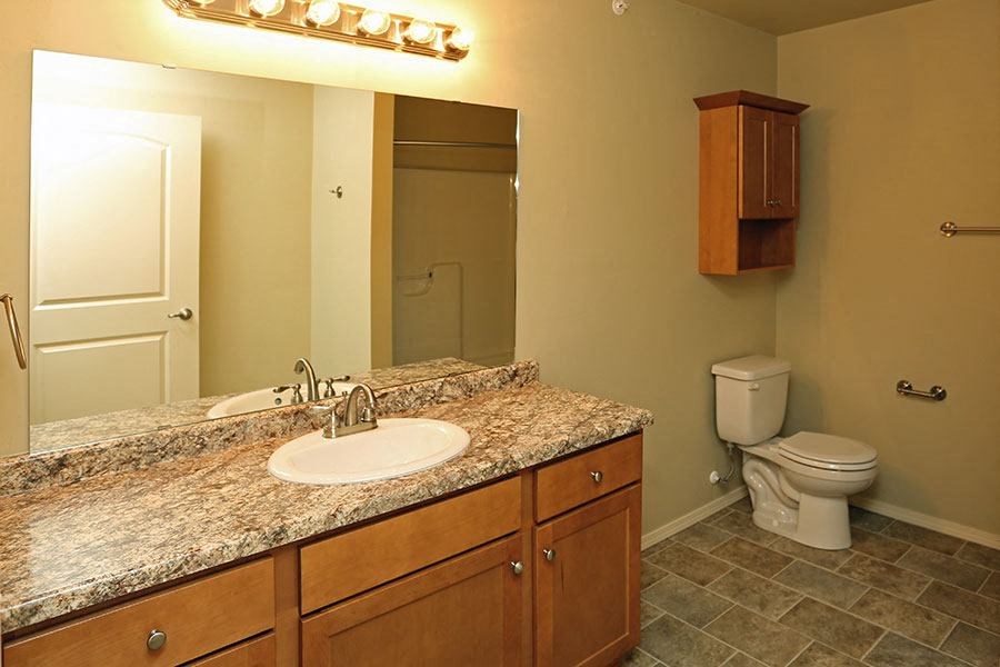 a bathroom with a sink and a toilet