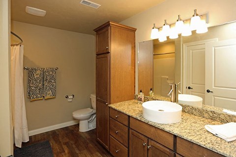 a bathroom with a sink and a toilet