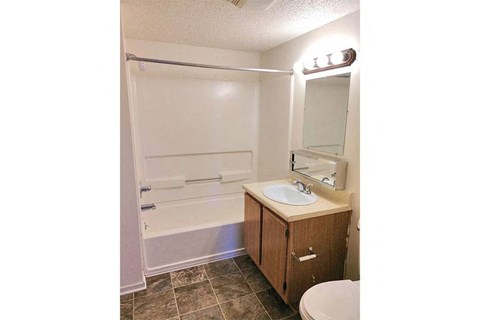 a bathroom with a sink and a bath tub