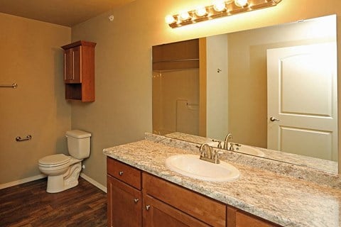 a bathroom with a sink and a toilet