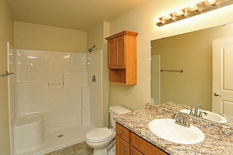 a bathroom with a sink toilet and a shower