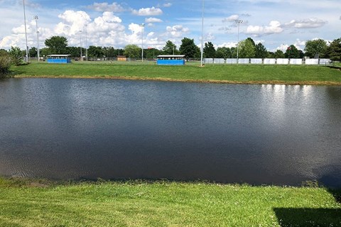 a small pond in the grass next to a field