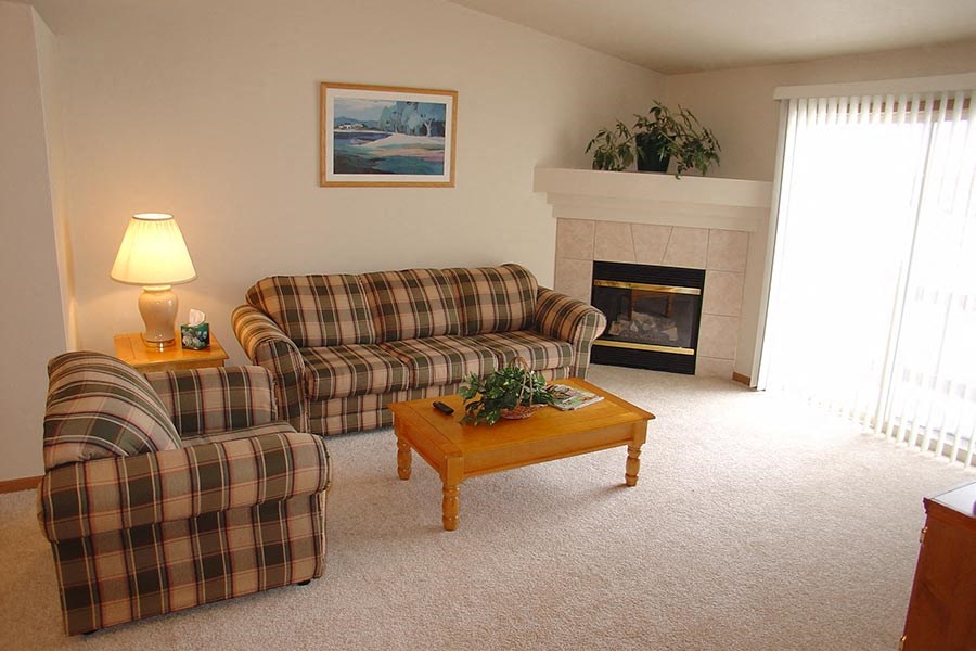 a living room with two couches and a fireplace