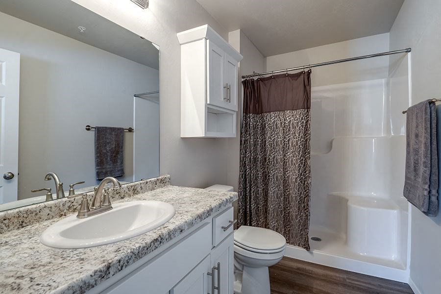 a bathroom with a sink and a shower and a toilet
