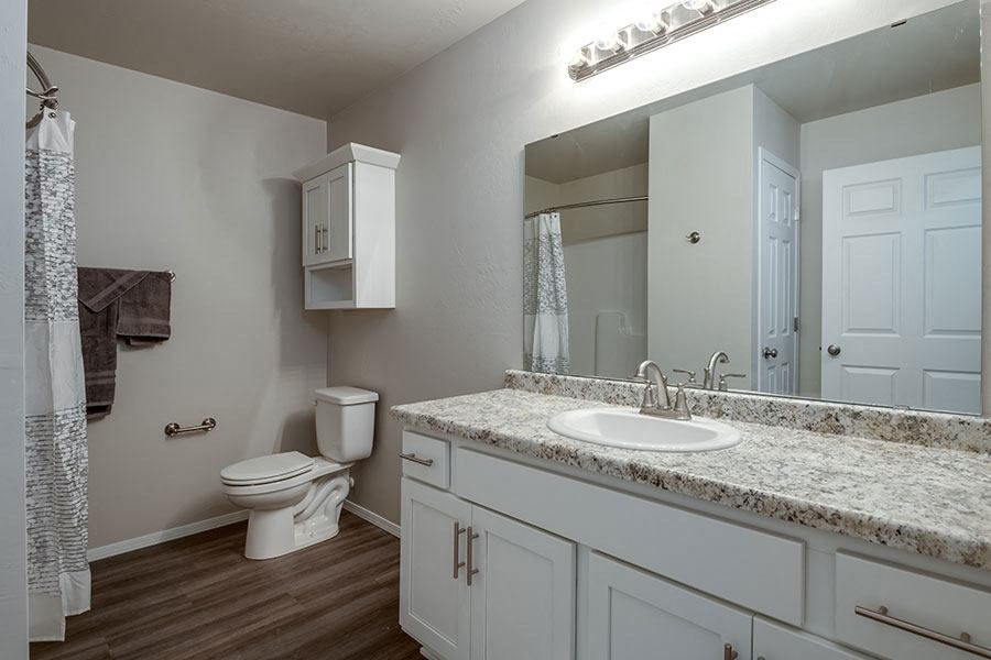 a bathroom with a toilet and a sink and a mirror