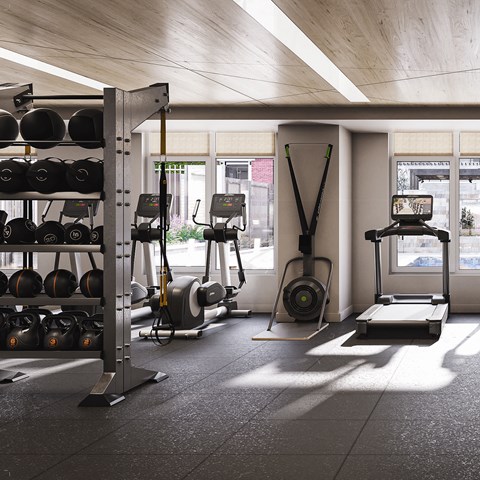 A gym with a variety of equipment including weights and a treadmill.