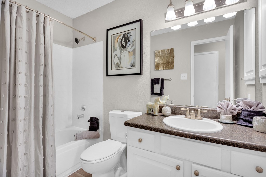 a bathroom with a sink and a toilet and a shower