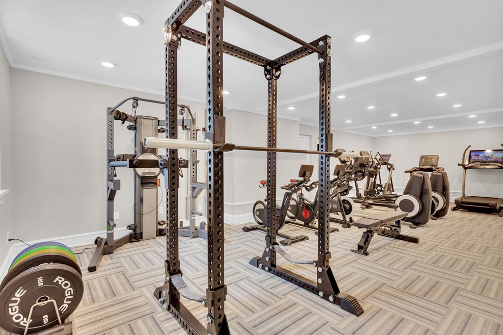 a gym with weights and cardio equipment in a home with