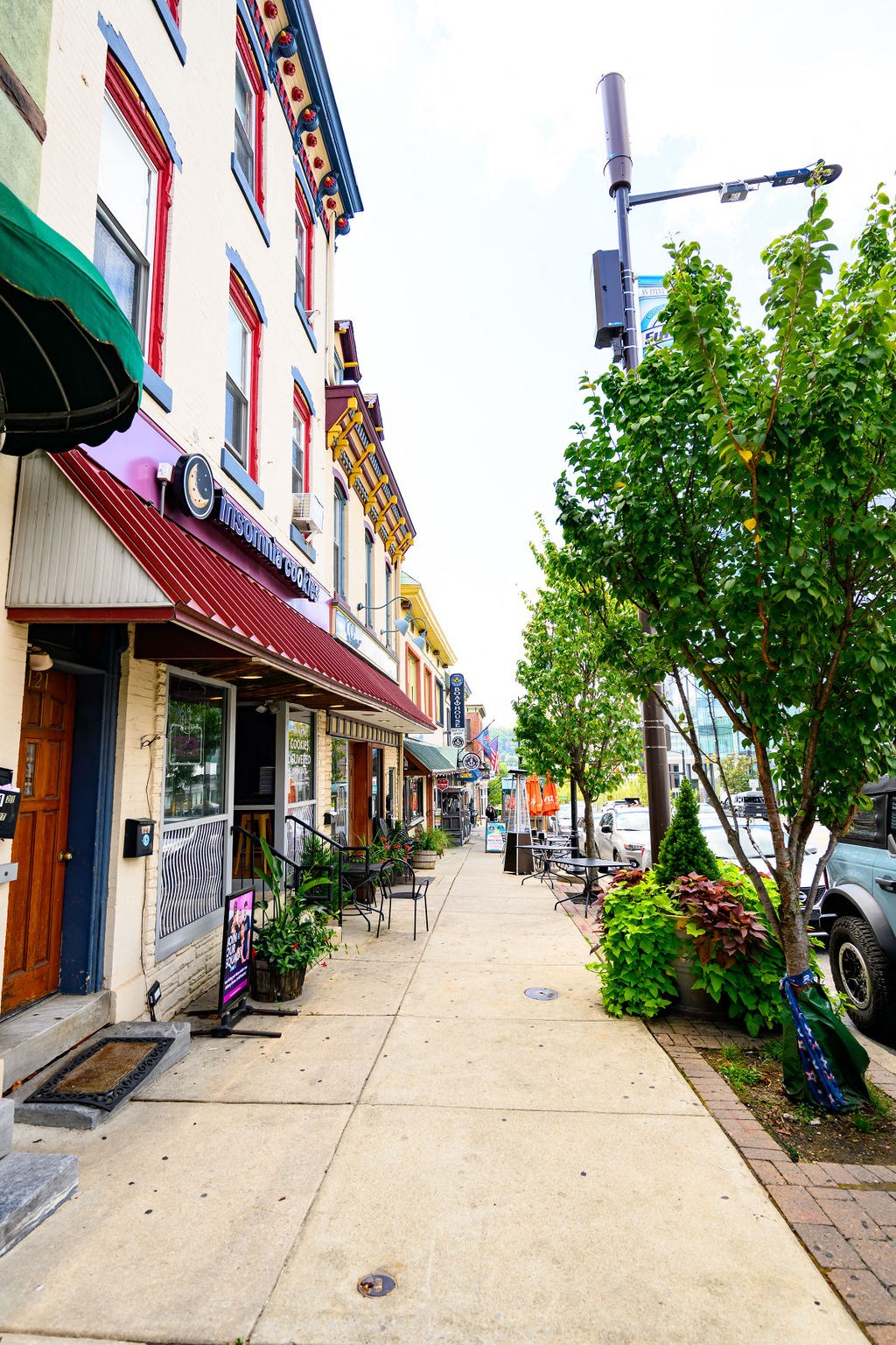 a city street with shops and trees on the sidewalk at Madison West Elm, Conshohocken