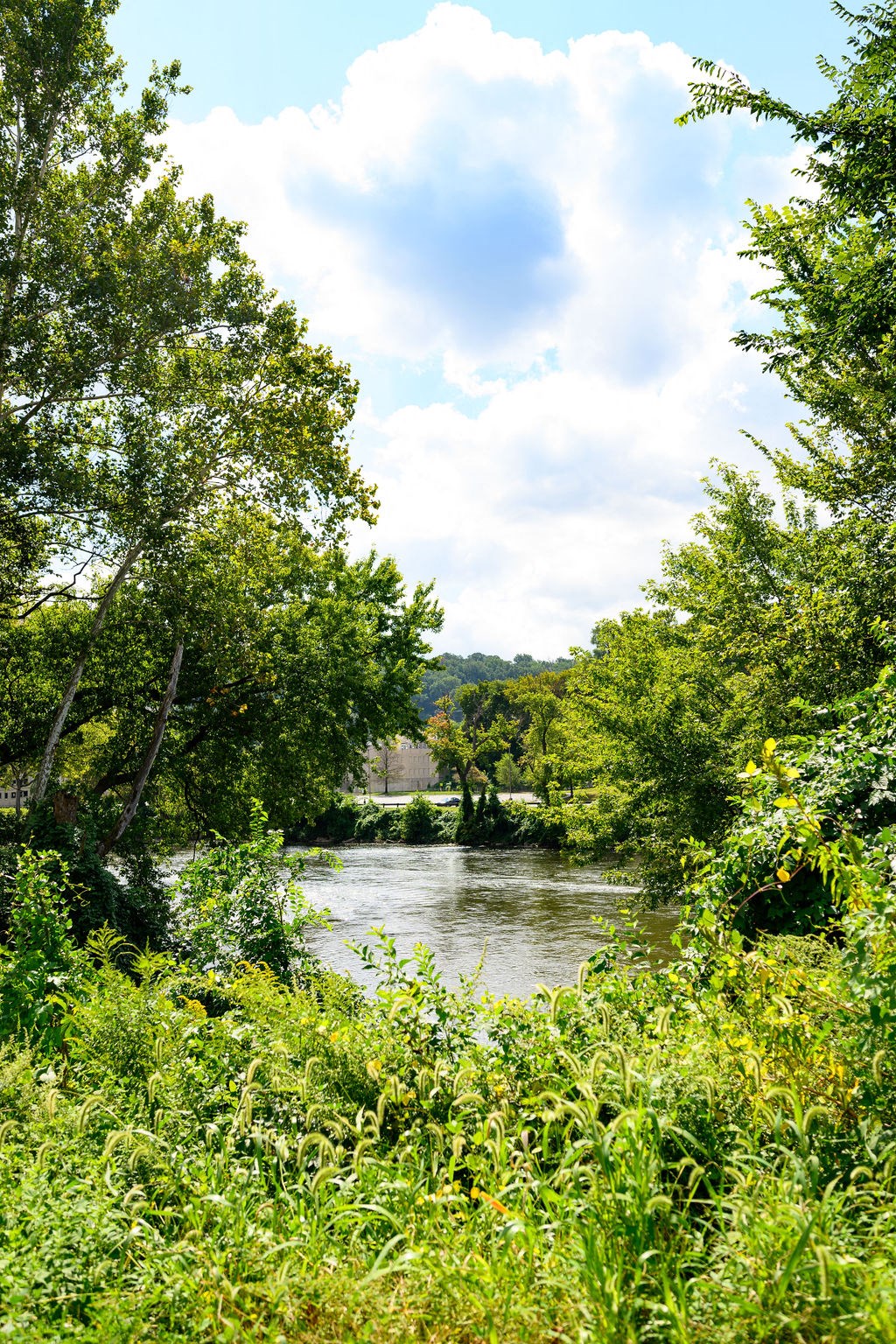 a view of a river surrounded by trees at Madison West Elm, Conshohocken, 19428