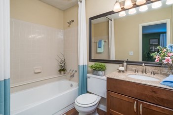 Model Apartment Bathroom - Photo Gallery 8