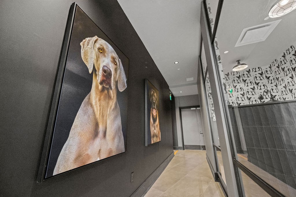 Dog Care at Madison West Elm, Conshohocken, PA, 19428