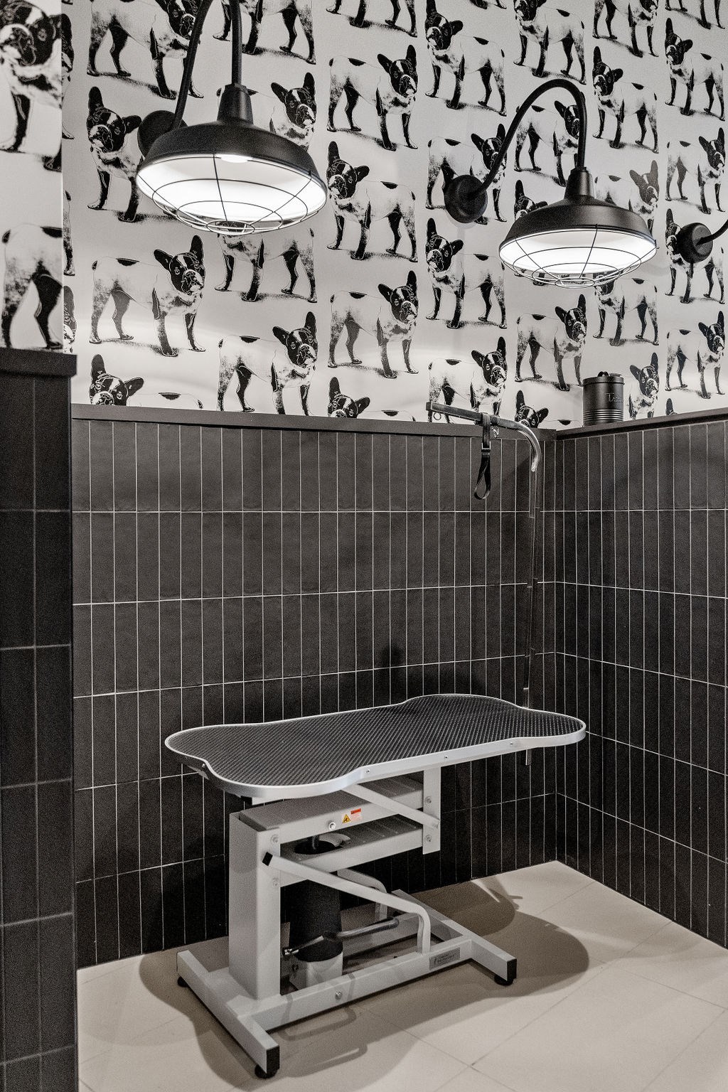 Pet Care Center at Madison West Elm, Conshohocken