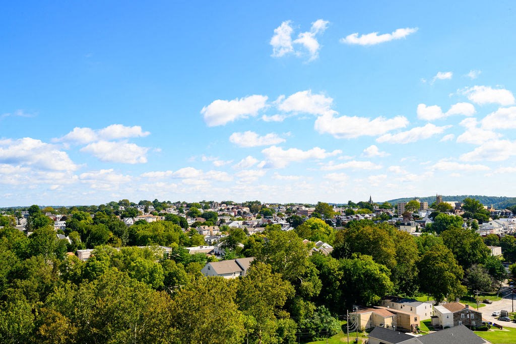 a view of a neighborhood with trees and houses at Madison West Elm, Conshohocken, Pennsylvania