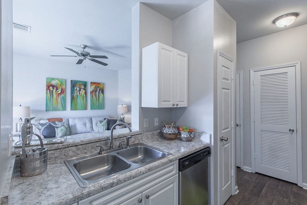 Kitchen Sink at Reserve at Bridford, Greensboro, North Carolina