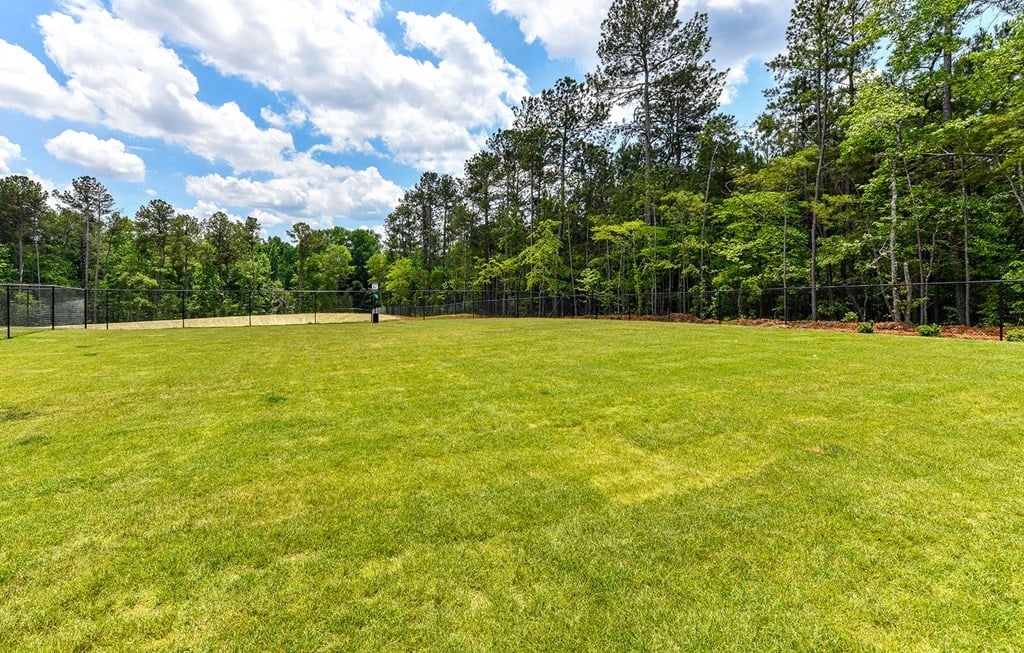 Large grassy off-leash dog park at Carmel Vista, McDonough, GA