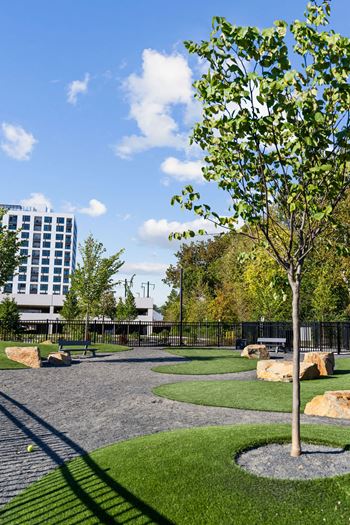a park with trees and rocks and a building in the background at Madison West Elm, Conshohocken Pennsylvania