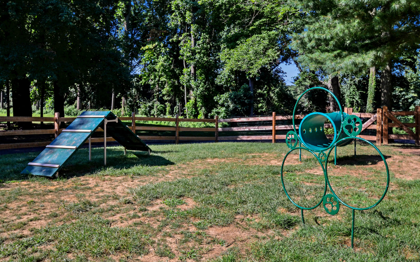 Dog park at Madison Glen Mills, Pennsylvania