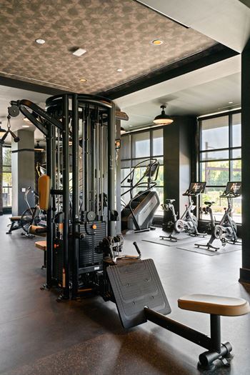 A gym with a variety of equipment including a squat rack and a bench at Madison West Elm, Conshohocken, PA 19428