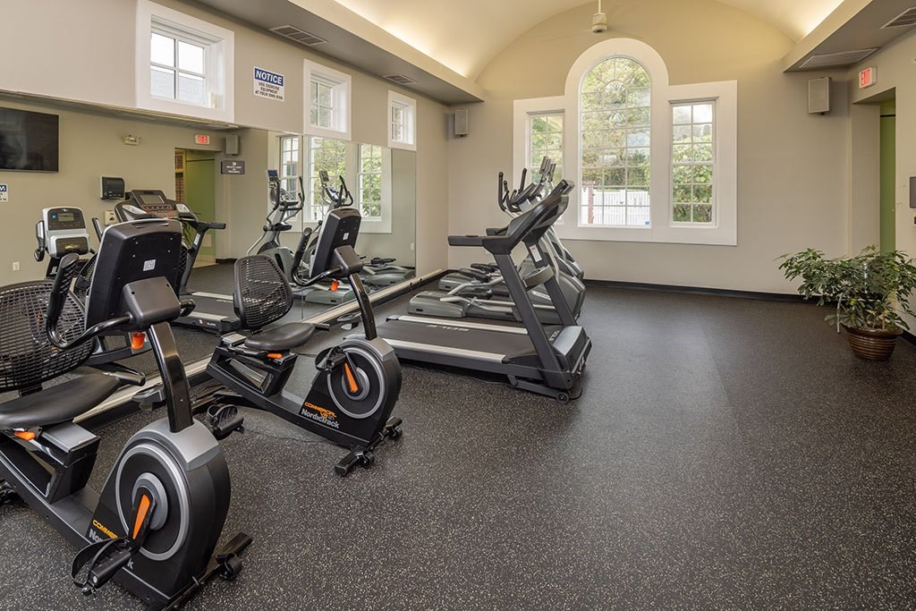 A gym with treadmills and exercise bikes.
